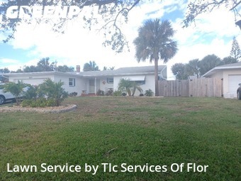 Grass Cut nearby Ormond Beach, FL, 