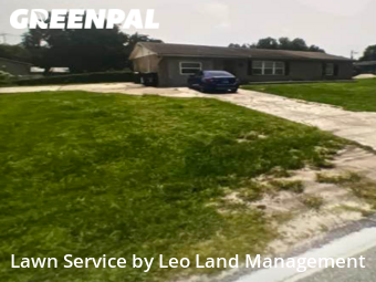 Lawn Mow nearby Lakeland, FL, 