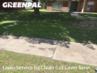 Lawn Mow nearby Rowlett, TX, 