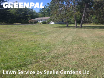 Lawn Mow nearby Burlington, WI, 