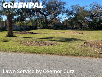 Lawn Maintenance nearby Daytona Beach, FL, 