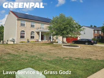 Lawn Cut nearby Clinton, DC, 