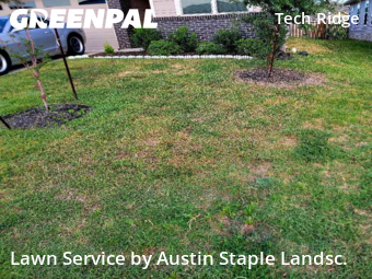 Lawn Service nearby Pflugerville, TX, 