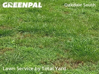 Grass Cutting nearby Charlotte, NC, 