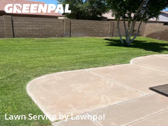 Landscaping Companies In Mesa,85209,Landscaping Cleanup by Lawnpal, work completed in Nov , 2025