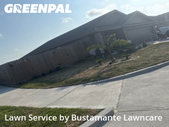 Yard Cutting nearby Flour Bluff, TX, 