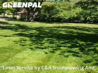 Lawn Mowing Service nearby Prospect Heights, IL, 