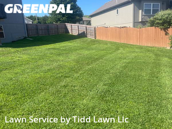 Grass Cut nearby Kansas City, KS, 