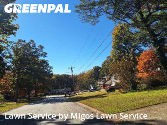 Lawn Care Servicein Lawrenceville,30046,Lawn Cutting by Migos Lawn Service, work completed in Nov , 2025