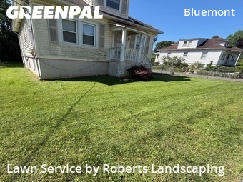 Lawn Maintenance nearby Arlington, VA, 