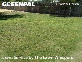 Grass Cutting nearby Elverta, CA, 