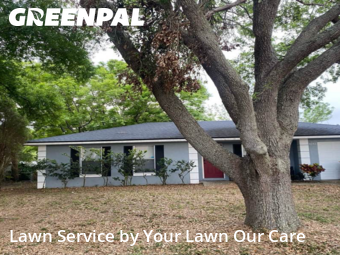 Grass Cut nearby Lakeland, FL, 