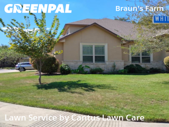 Lawn Care nearby San Antonio, TX, 