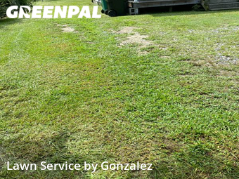 Lawn Maintenance nearby Selma, NC, 