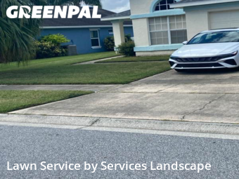 Grass Cut nearby Kissimmee, FL, 