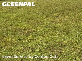 Lawn Cut nearby Bradenton, FL, 