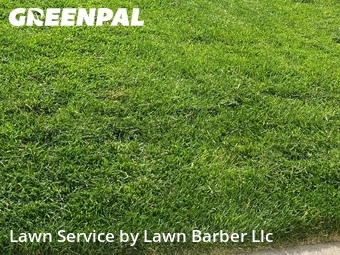 Lawn Cut nearby Evans, CO, 