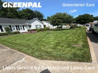 Lawn Cutting nearby Chesapeake, VA, 