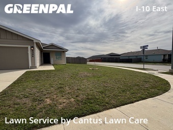 Grass Cut nearby Converse, TX, 