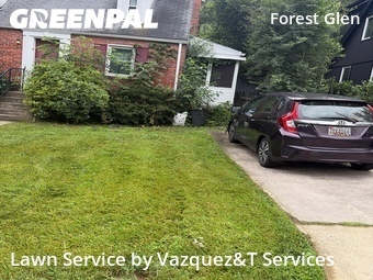 Lawn Cut nearby Silver Spring, MD, 