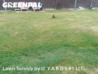 Grass Cut nearby Riverbank, CA, 