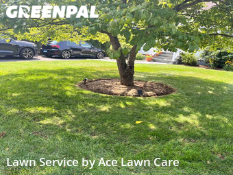 Lawn Cutting nearby Fairfield, CT, 