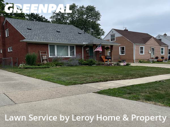 Grass Cut nearby Wayne, MI, 