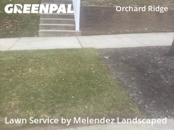 Lawn Care nearby Baltimore, MD, 