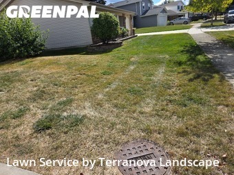 Yard Care Services in Woodridge, 60517, Lawn Cutting by Terranova Landscape, work completed in Nov , 2025