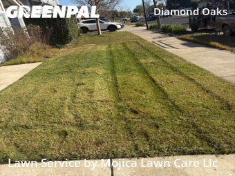 Lawn mowed in Roseville, 95678
