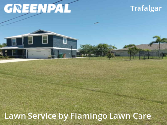 Grass Cut nearby Cape Coral, FL, 