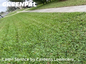Yard Cutting nearby Royal Palm Beach, FL, 