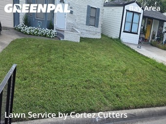 Grass Cut nearby Corpus Christi, TX, 