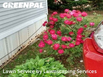 Lawn Cut nearby Decatur, GA, 