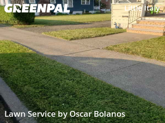 Lawn Maintenance nearby Endicott, NY, 