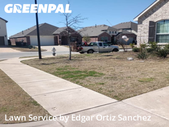 Yard Mowing nearby Princeton, TX, 