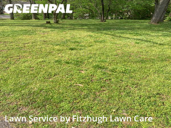 Lawn Mow nearby Nashville, TN, 