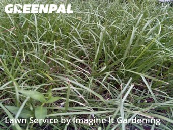 Lawn Maintenance nearby Miami, FL, 