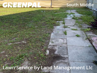 Lawn Maintenancein Fort Lauderdale,33311,Lawn Cutting by Land Management Llc, work completed in Nov , 2025