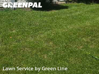 Lawn Mowing in Romeoville, 60446, Yard Mowing by Green Line, work completed in Nov , 2025