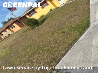 Lawn Cut nearby Port Charlotte, FL, 
