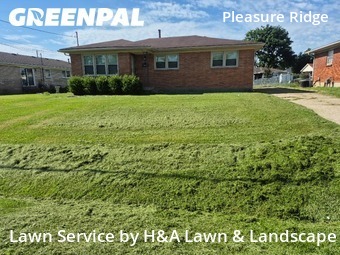 Lawn Cut nearby Louisville, KY, 