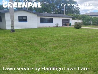 Yard Cutting nearby Cape Coral, FL, 