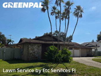 Grass Cutting in Seminole, 33776, Lawn Work by Etc Services Fl, work completed in Oct , 2025
