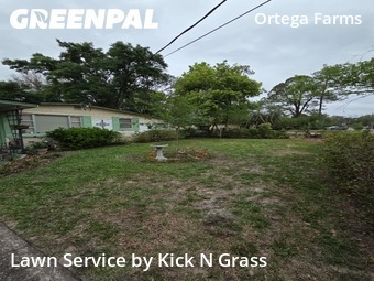 Grass Cut nearby Jacksonville, FL, 