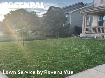 Lawn Mowingin Longmont,80504,Grass Cutting by Ravens Vue, work completed in Jan , 2026