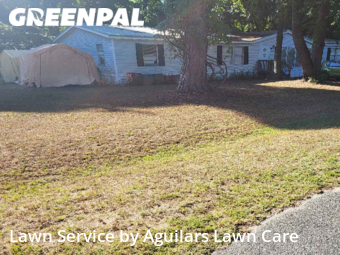 Lawn Care nearby Ocala, FL, 