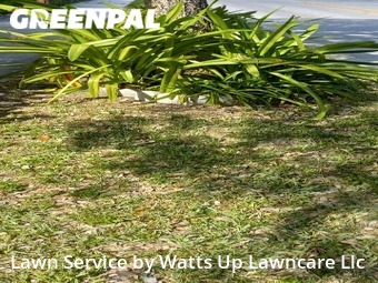 Yard Cutting nearby Hollywood, FL, 