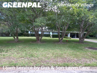 Grass Cutting nearby Jacksonville, FL, 