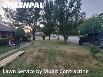 Grass Cut nearby Lexington, KY, 